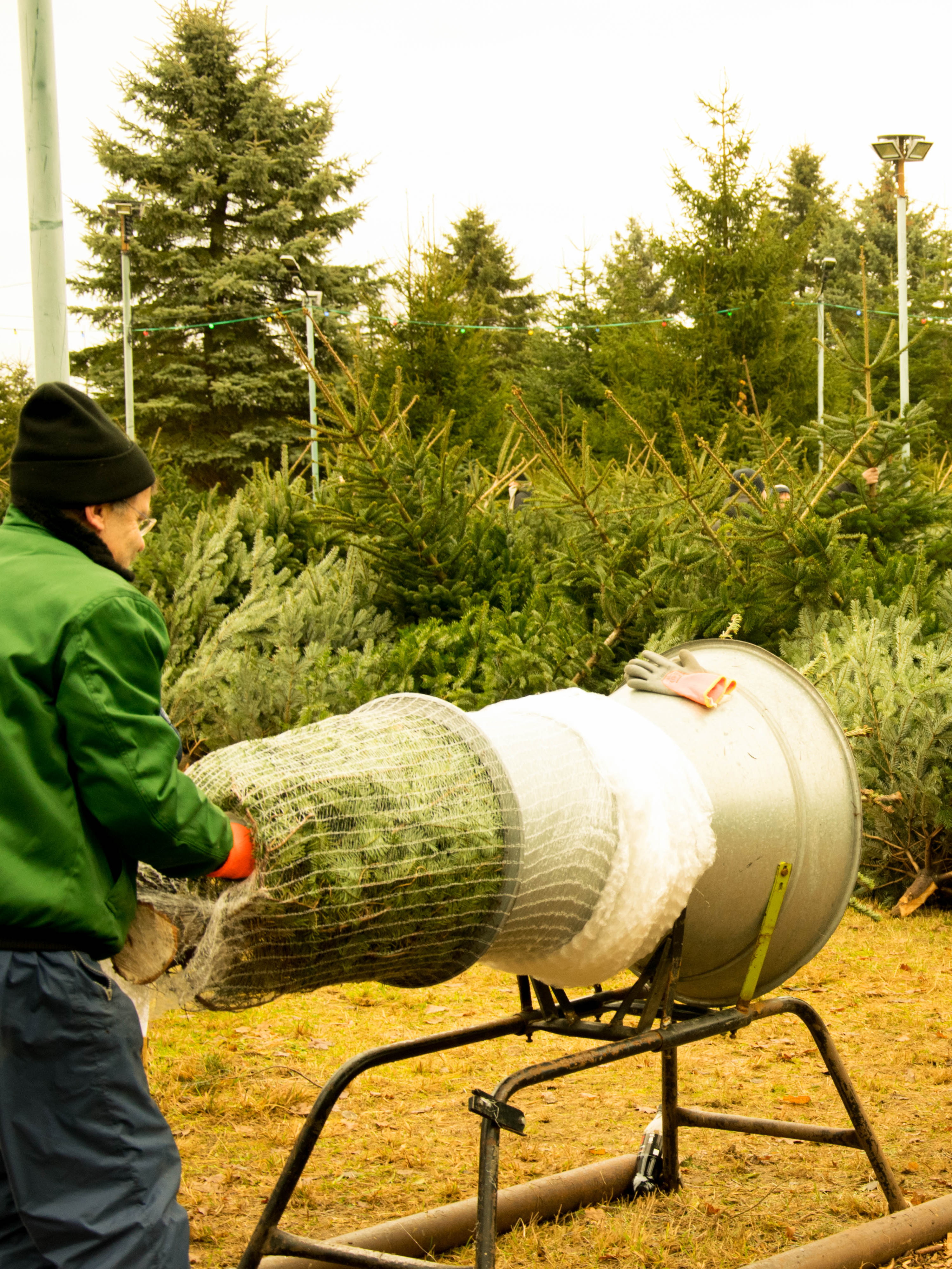 Weihnachtsbaum selber schlagen Fassensdorfer Tannen